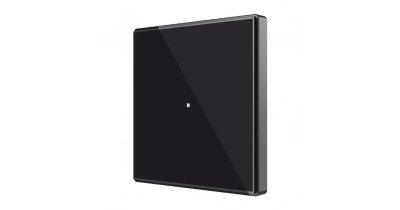 Емкостный выключатель Square TMD 1 с 1 многофункциональной кнопкой, Антрацит